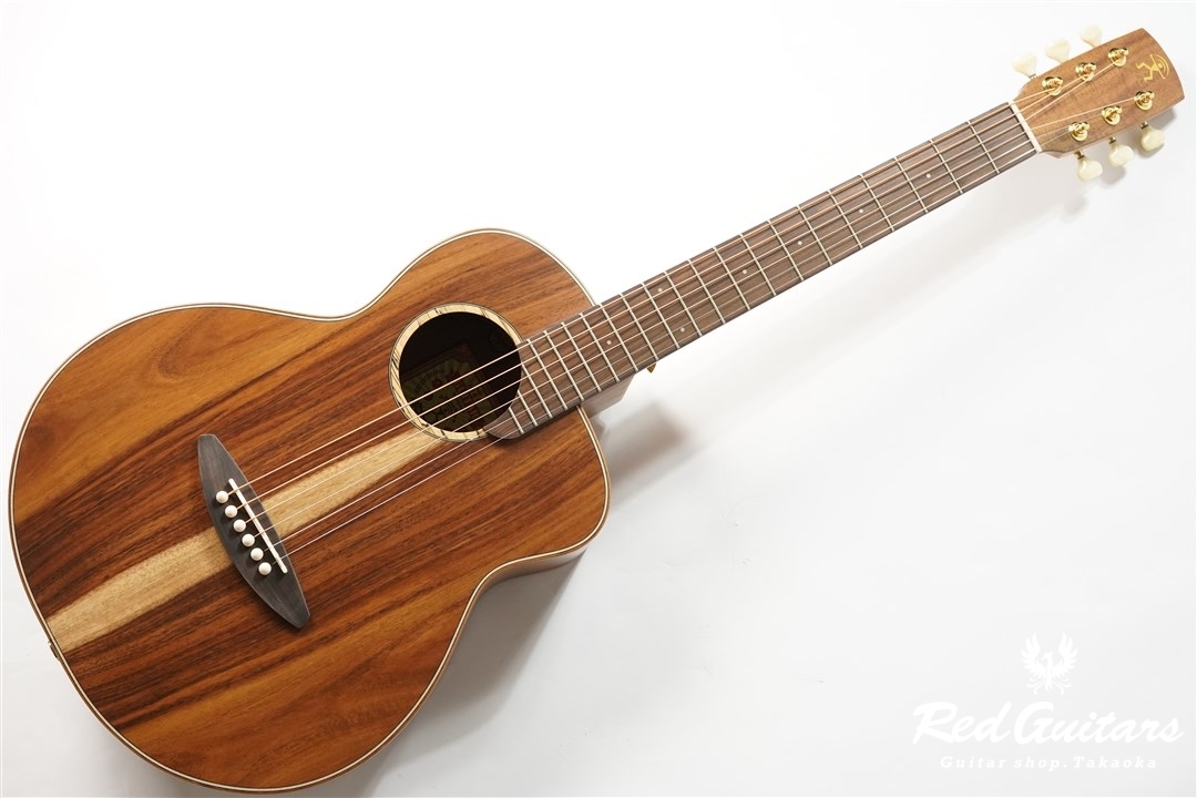 aNueNue M30E Feather Bird [aNN-M30E] | Red Guitars Online Store